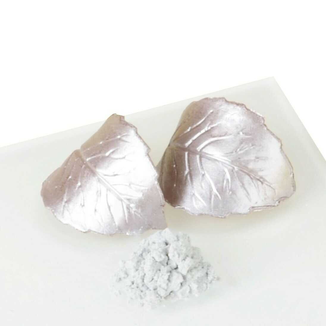 Cake Masters Prachová barva třpytivá stříbrná 10g