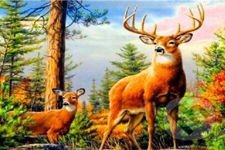 Diamantové malování Jelen v horách - Norimpex