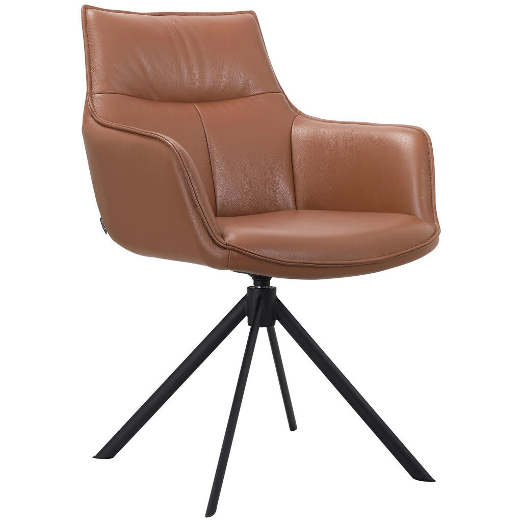 Novel ŽIDLE S PODRUČKAMI, železo, černá, koňaková