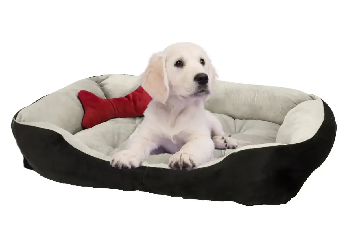 AllPaw Pelíšek Relax s plyšovou kostí M PPBH2079