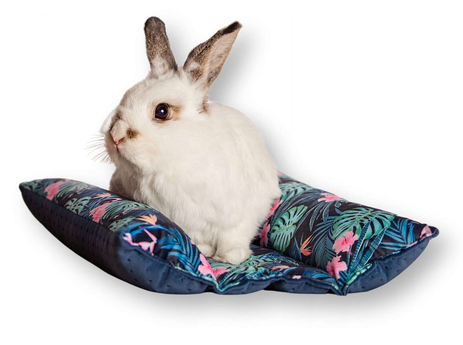 Kraina Tuptusia polštář Hot-dog pro králíka