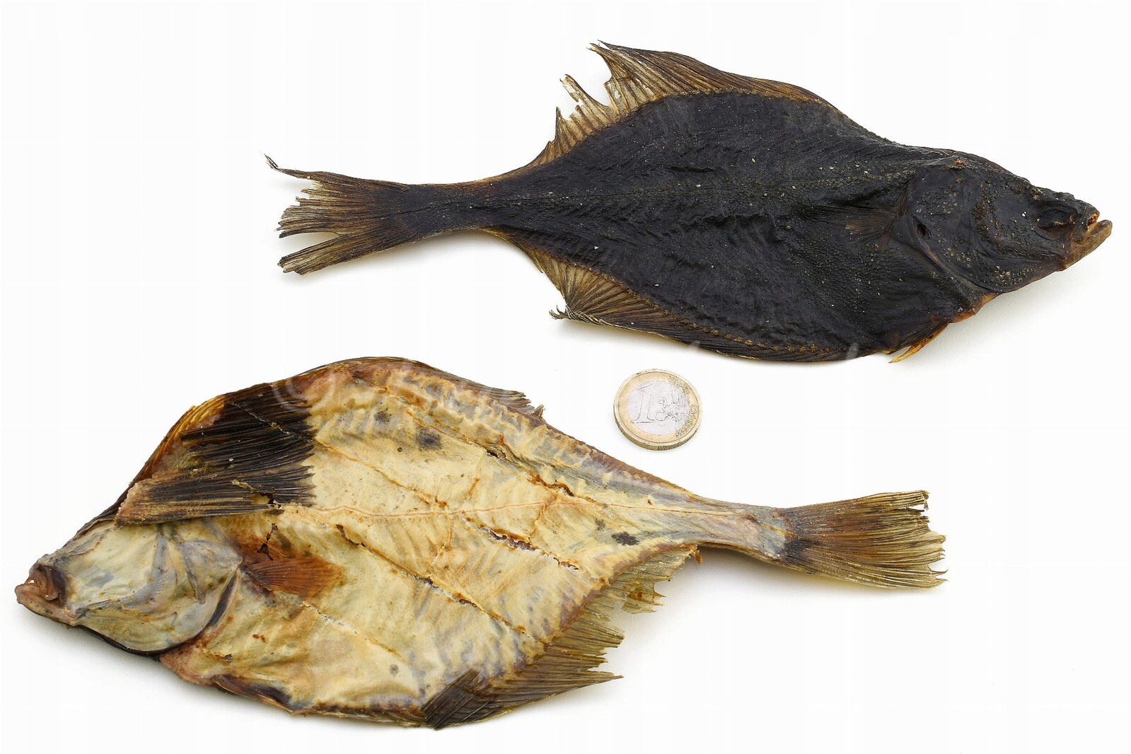 Lunderland Celá Platýs Sušená Pamlsek pro psy a kočky Podporuje hygienu Zu