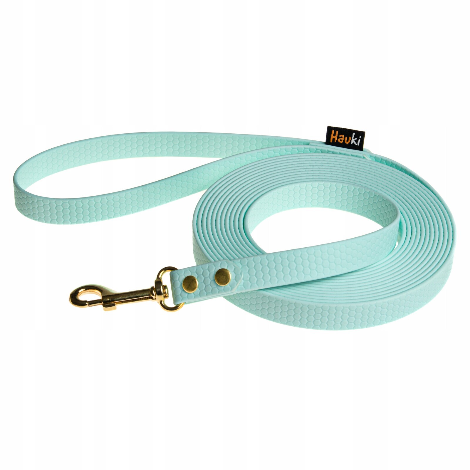 Tréninková Linka Hexa. Modrá. Zlaté Prvky. Vodítko Pro Psa 10 M/16 MM
