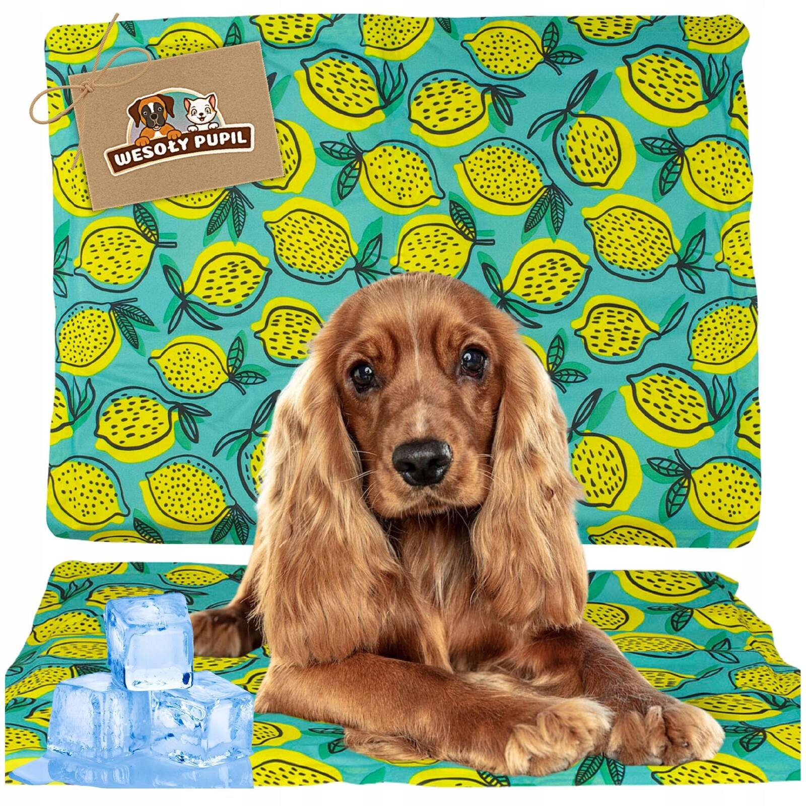 Chladící podložka pro středního psa a kočku voděodolná proti Horku Léto MD 65x50