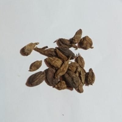 Černý kardamom 1 kg Rafex