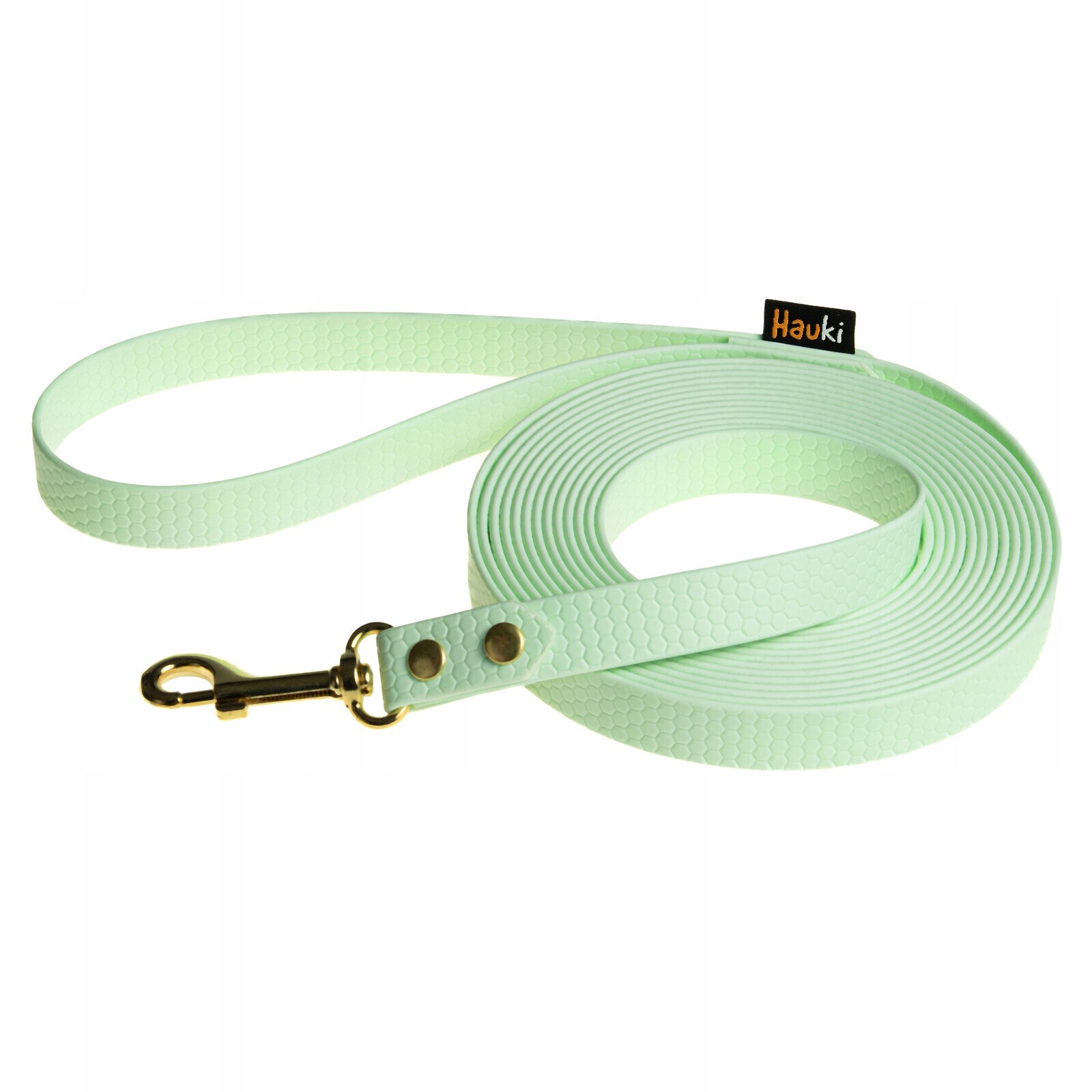 Tréninková Šňůra 5 M. Vodítko Pro Psa. Mátová. Zlaté Prvky. Vzor Hexa