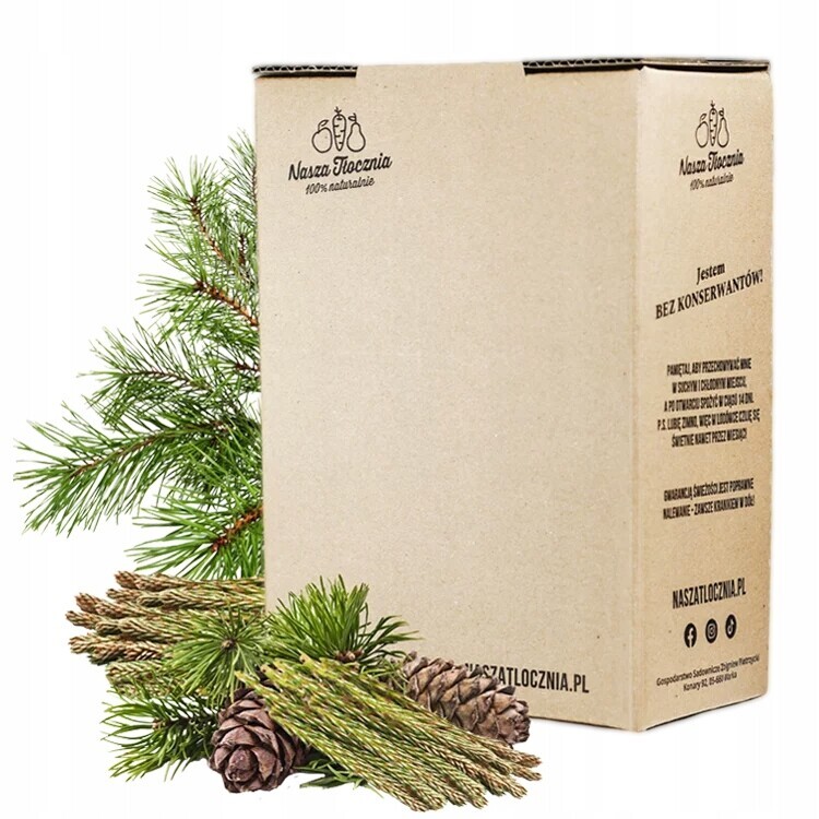 Sirup z výhonků borovice nízkoslazený 3 kg