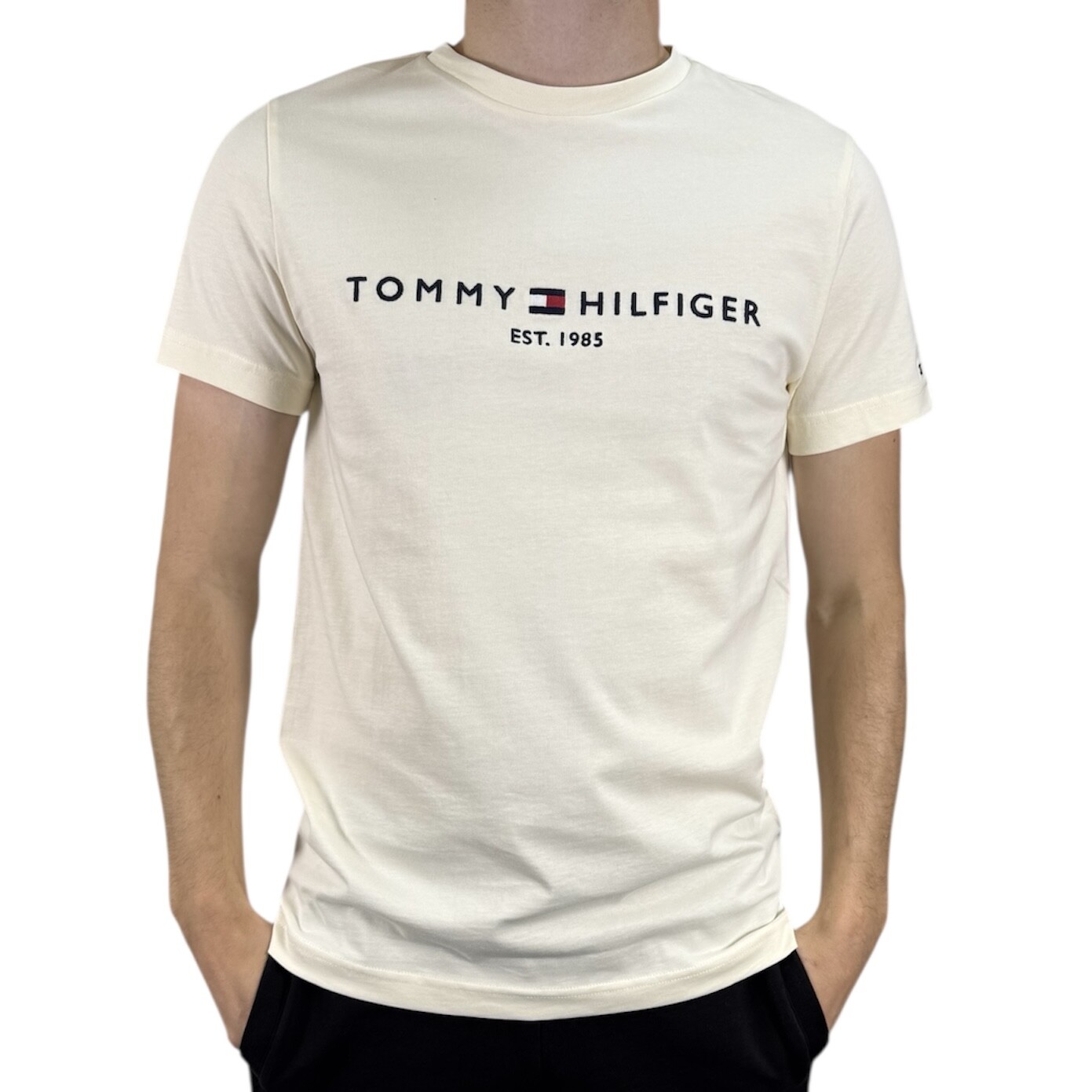 TOMMY HILFIGER TOMMY LOGO TEE Pánské tričko XXL MW0MW11797AEF