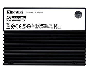 Kingston SSD DC3000ME 3840GB M.2 PCIe 5.0 NVMe x4