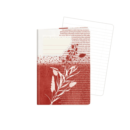 Argus Školní sešit 644 - Simply - A6, linkovaný, 40 listů -1598-0409-1