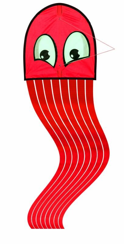 Günther drak Octopus