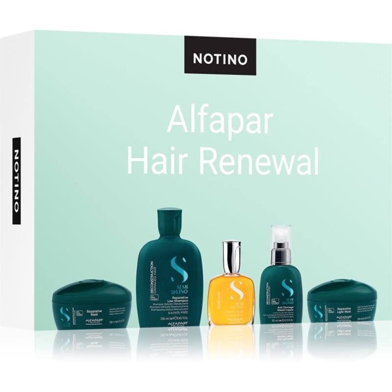 Beauty Discovery Box Notino XL - Alfaparf Hair Renewal sada pro ženy