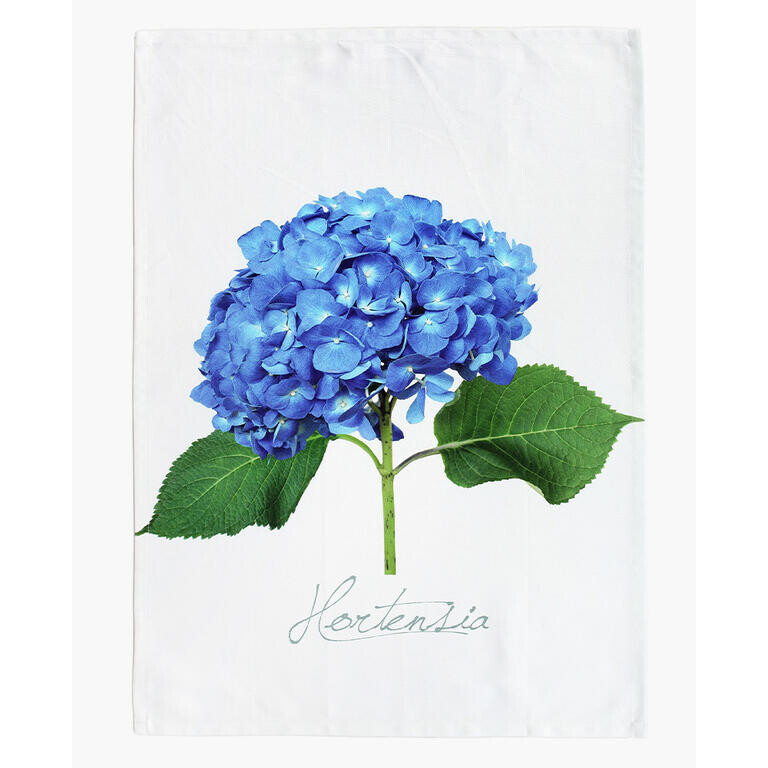 Keprová utěrka HORTENZIE MODRÁ 50 x 71 cm