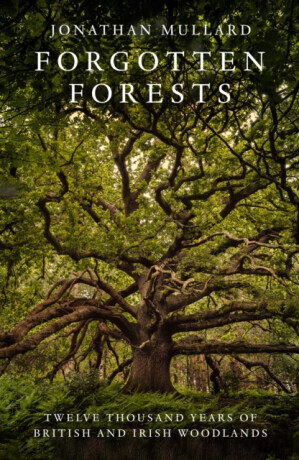 Forgotten Forests - Jonathan Mullard