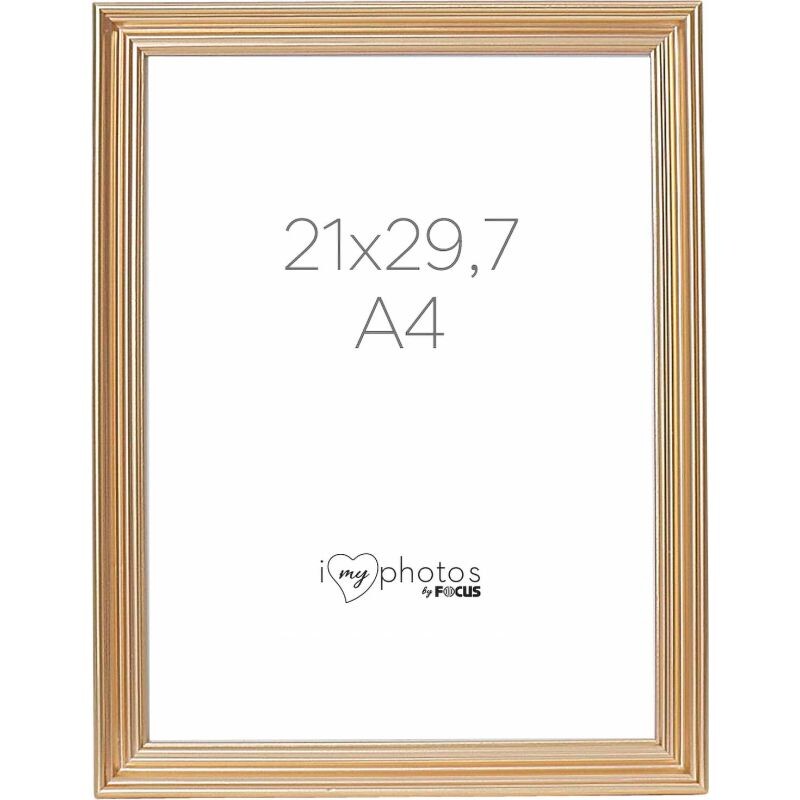 FOCUS VERONA 21x29,7 zlatá