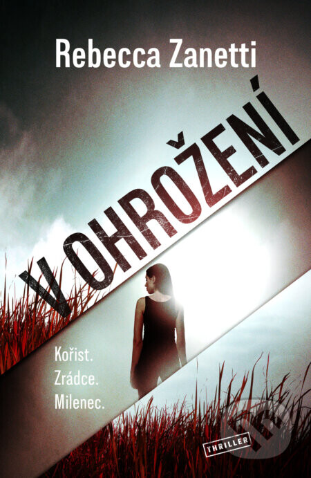 V ohrožení - Rebecca Zanetti