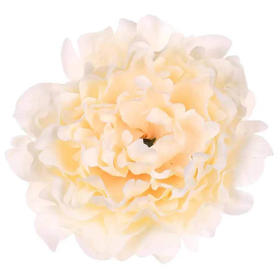 Autronic Pivoňka květ 6 ks KN6151 CRM