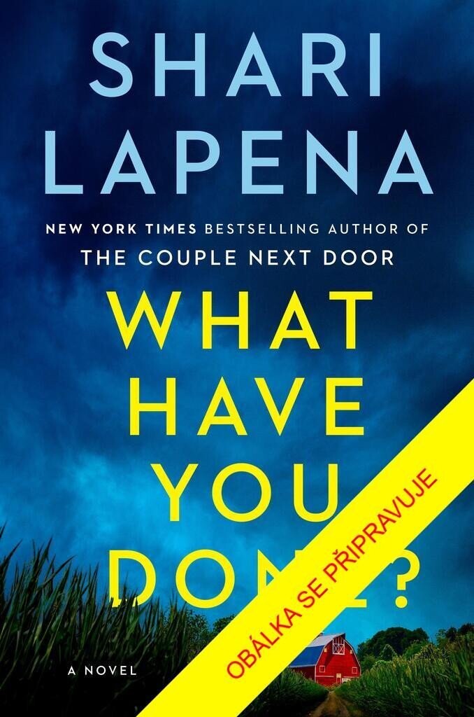 Co jste to provedli? - Shari Lapena