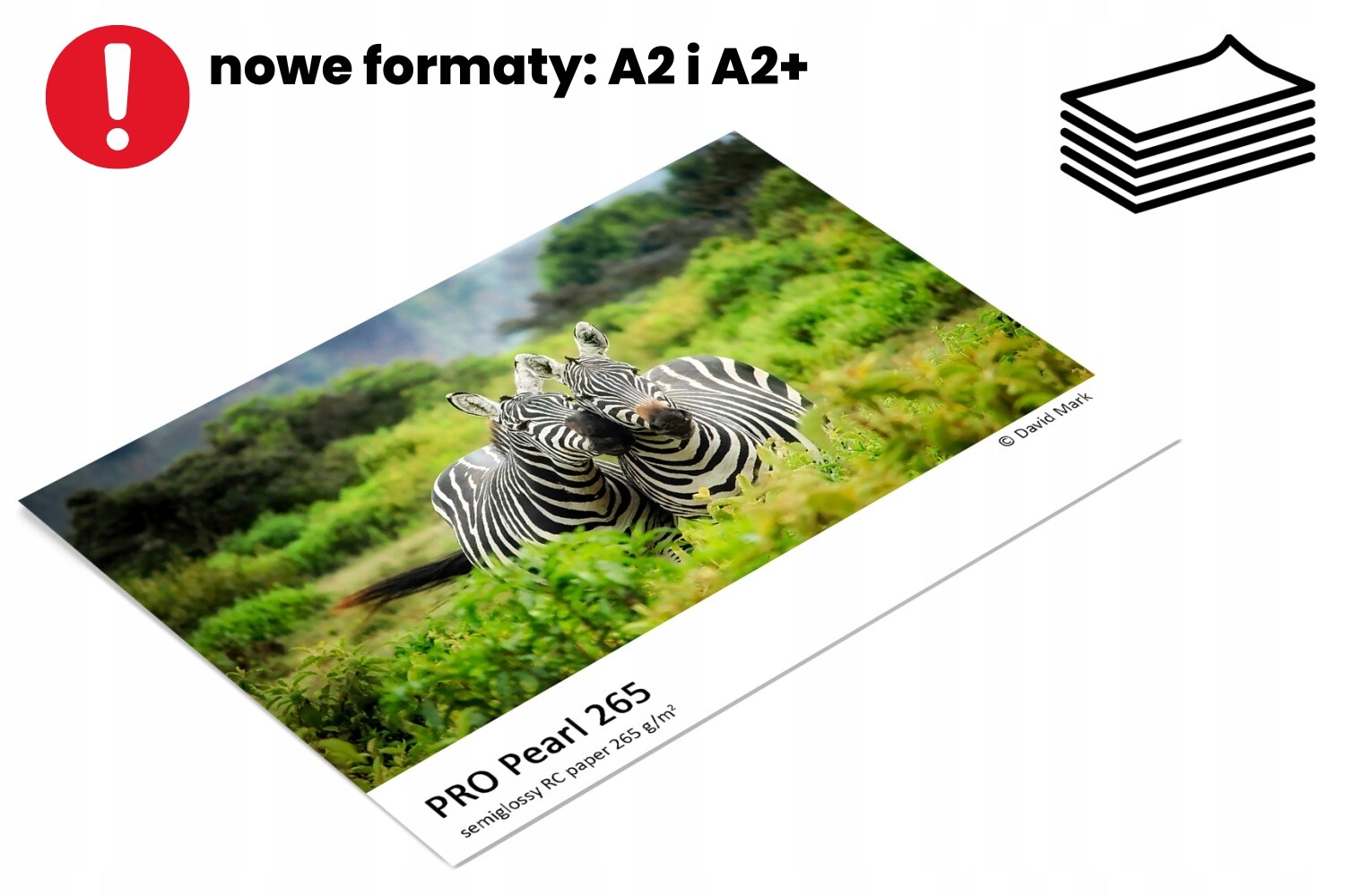 Fotografický papír Fomei Pro Pearl A4 100ks 265 g/m² perleťový