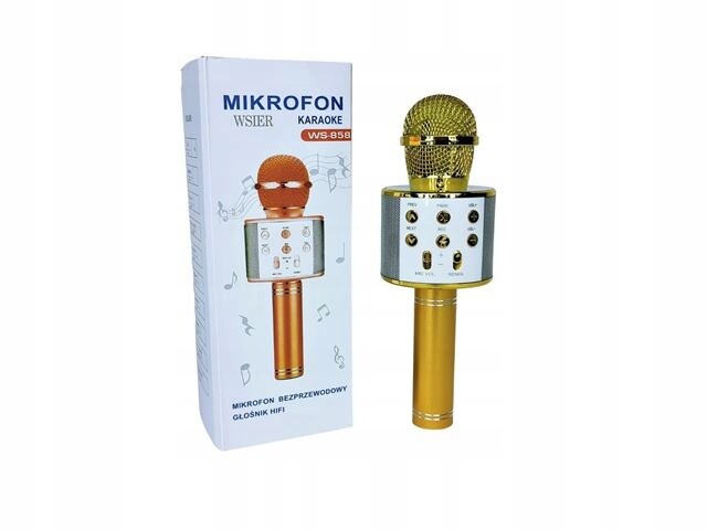 Bezdrátový mikrofon Jywk 369-1 13860