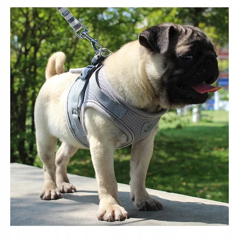 Beztlakové Vycházkové Popruhy Nastavitelné Odrazkou Pro Kočky Vodítko Velikost S