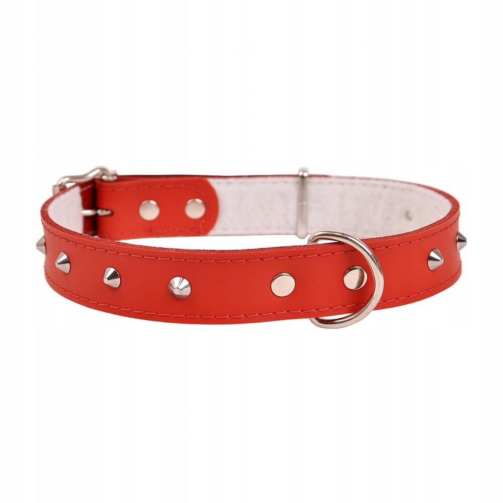 Dino Obojek Kůže Ozd 30mm/63cm Červený