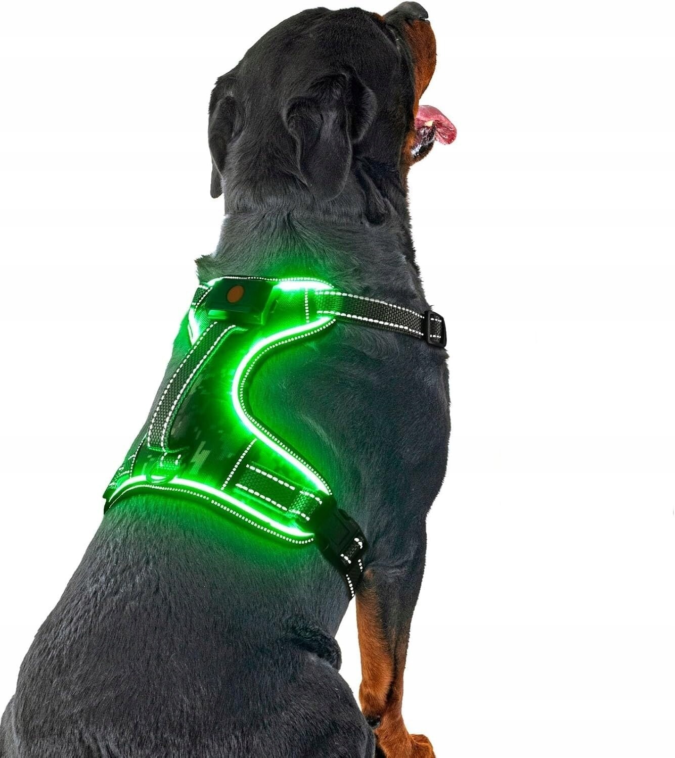 Led postroj pro psa XL zelený, reflexní, beztlaková kamufláž