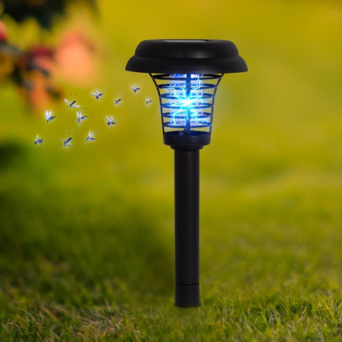 Haushalt international LED Solární lapač hmyzu