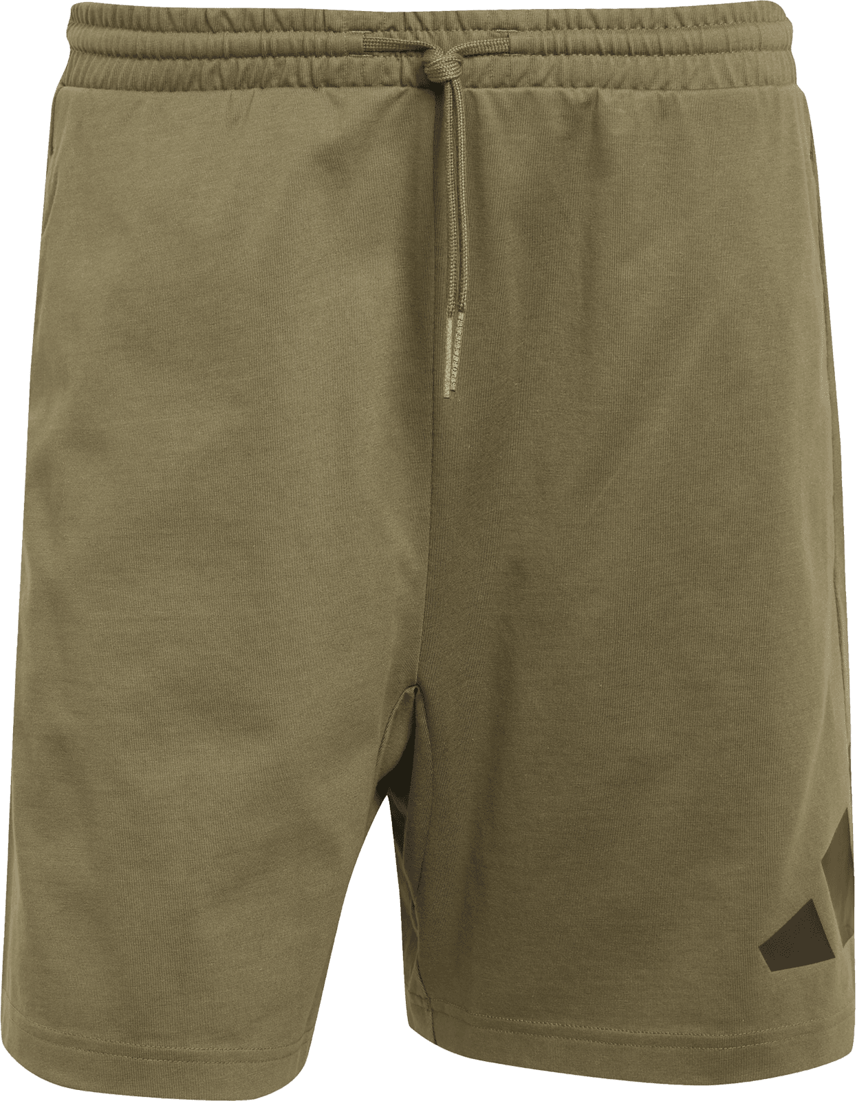 Šortky adidas ESSENTIALS BIG LOGO SINGLE JERSEY SHORTS