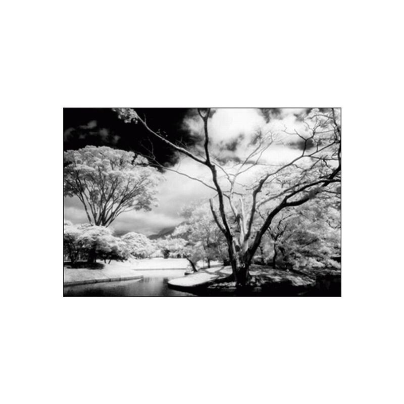 COKIN filtr Z007 infrared (89B)