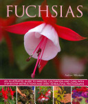 Fuchsias: An Illustrated Guide to Varieties, Cultivation and Care, with Step-By-Step Instructions and More Than 130 Beautiful Ph -  (Mikolajski Andrew)(Paperback)