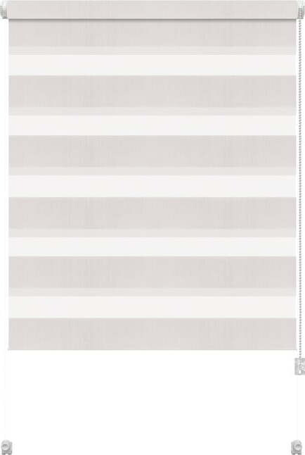 Bílá roleta den a noc 72,5x150 cm Zebra – Gardinia