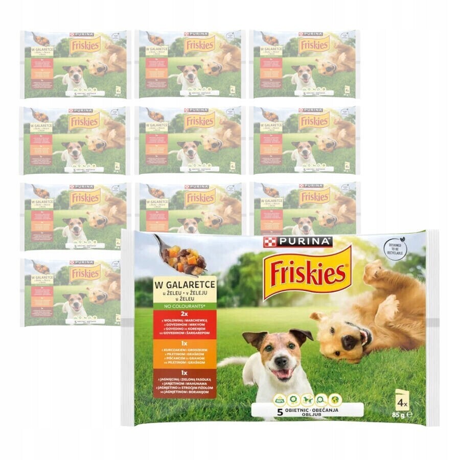 Purina Friskies Vlhké Krmivo pro psy Mix Chutí v želé 48x85 g