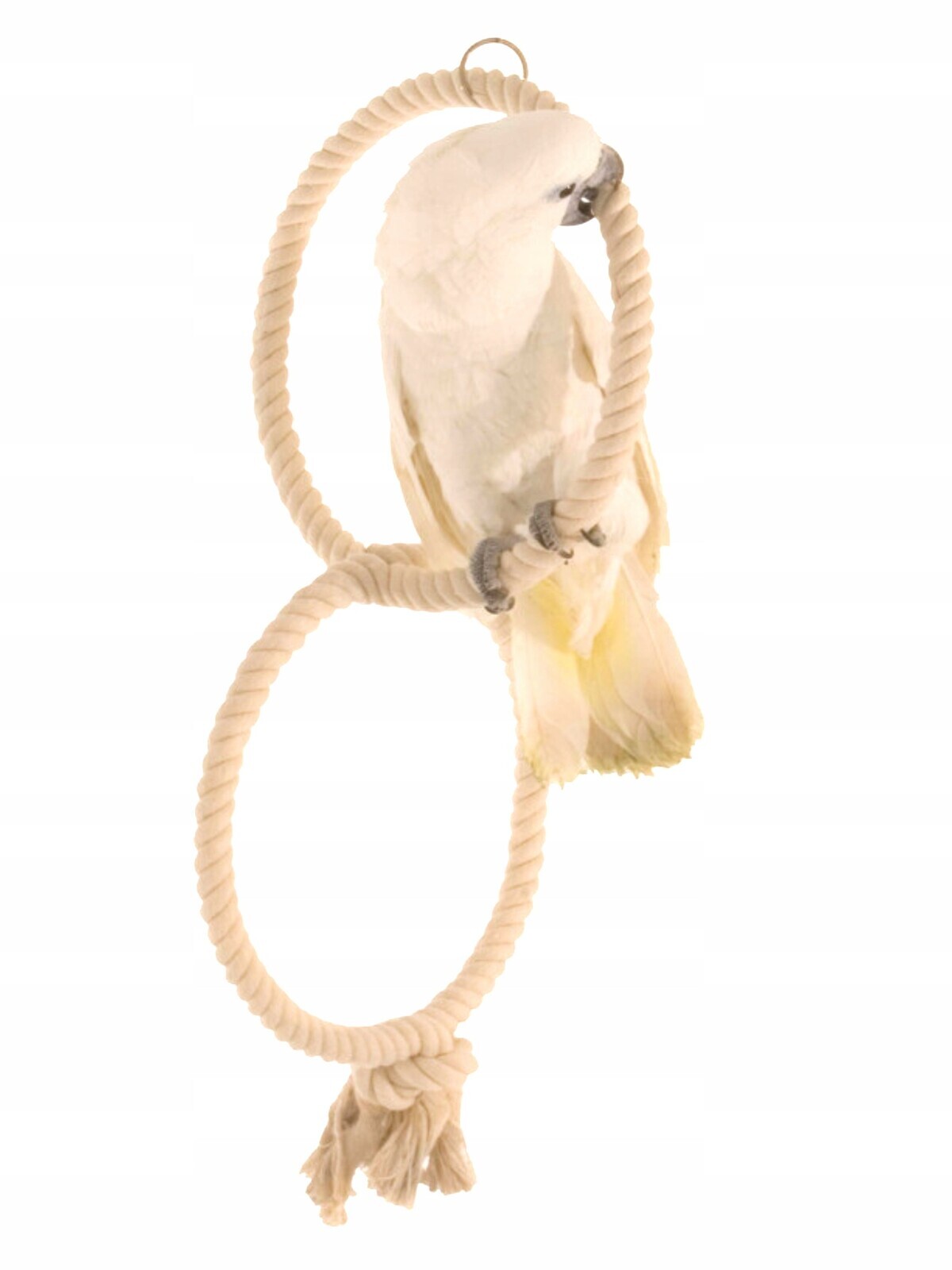 Planeta papoušků II Houpačka pro větší a střední papoušky