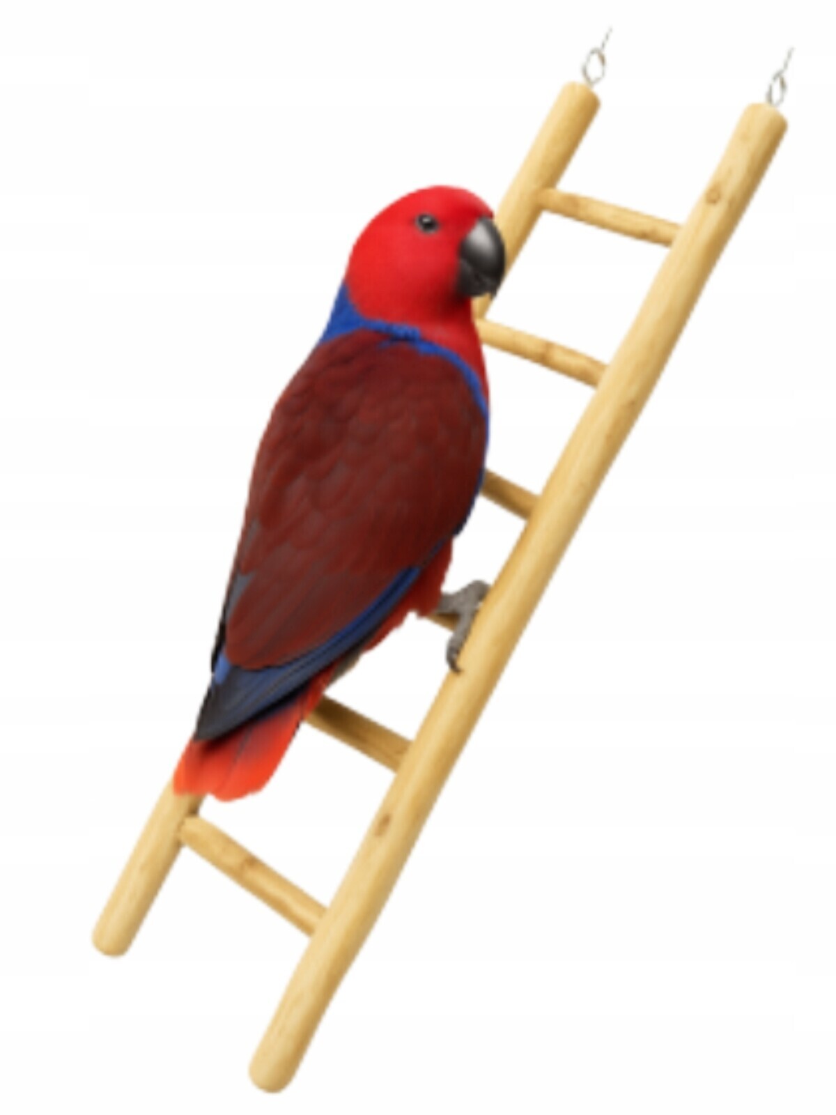 Dřevěný žebřík Java 60 cm s upevněním