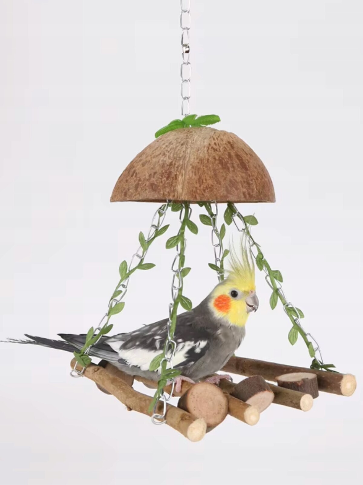 Žebřík s kokosem houpačka/můstek pro malé a střední papoušky