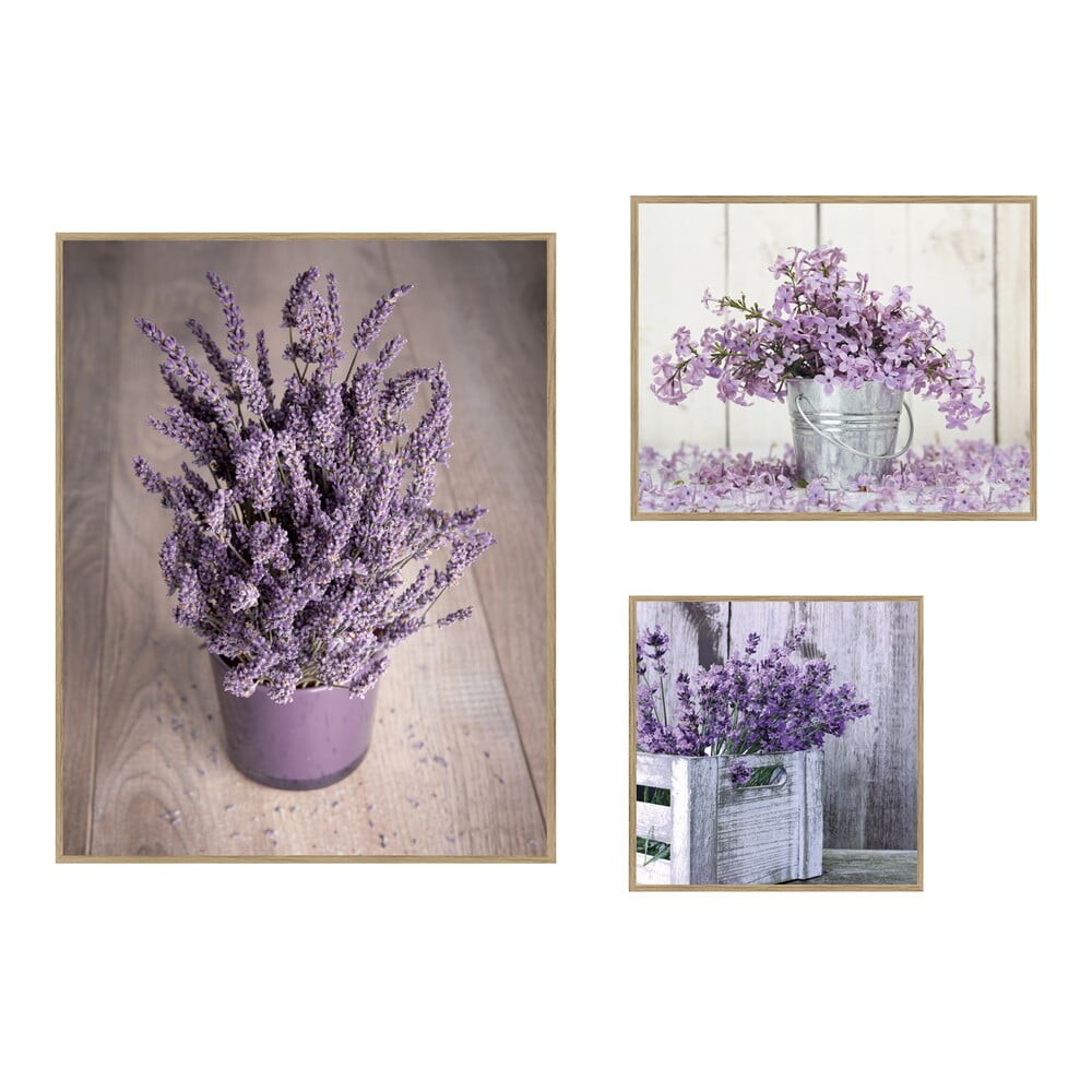 Obrazy v sadě 3 ks 40x50 cm Purple Flowers – knor
