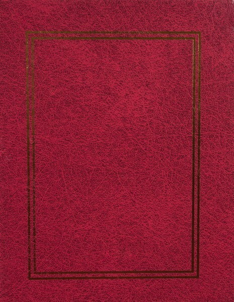 Fandy Fotoalbum 9 x 13 cm - 100 fotek - Vinyl 1 - vínová - 230546 1