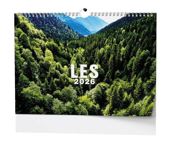 Baloušek Nástěnný kalendář 2026 - Les - A3 - BNK22-26 - Baloušek Příroda Příroda 10