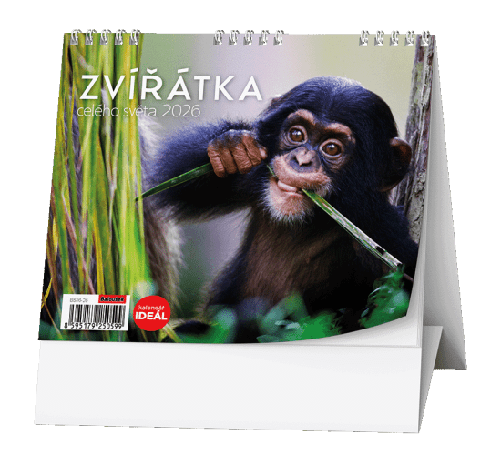 Baloušek Stolní kalendář 2026 - IDEÁL - Zvířátka celého světa - BSJ6-26 - Baloušek Zvířata Zvířata 10