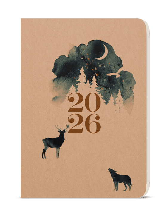 Baloušek Denní diář David - Kraft - Čarovný - BDD4-2-26