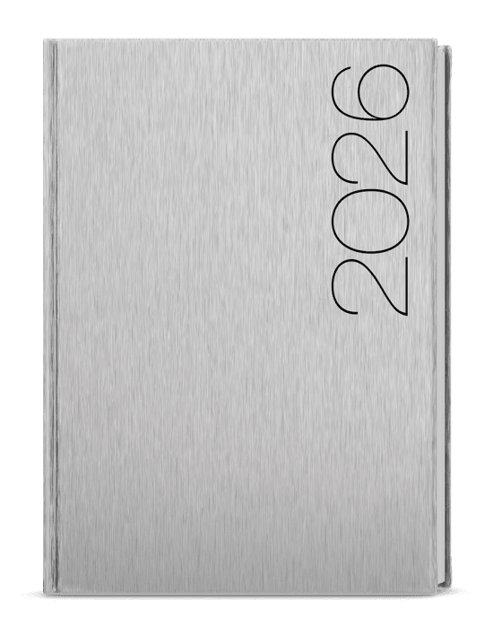 Baloušek Denní diář David - ForMen - A5 - Silver - BDD30-9-26