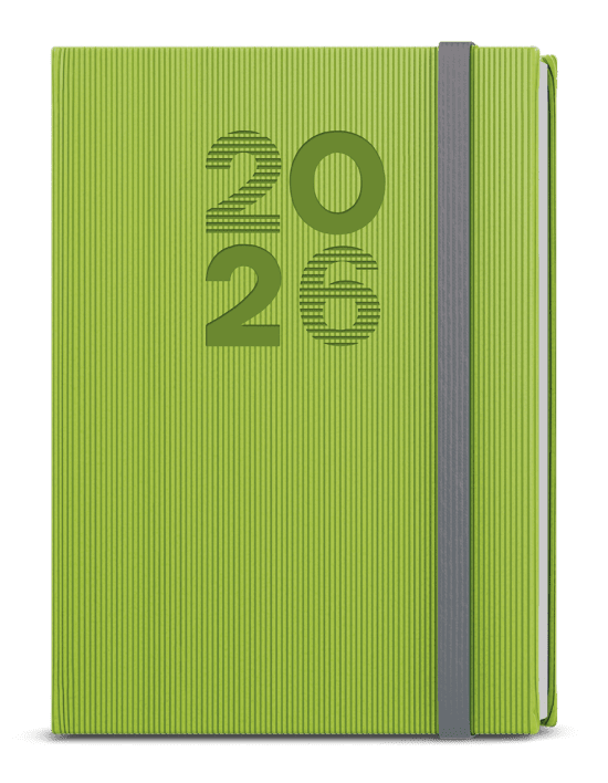 Baloušek Denní diář David - Vigo - A5 - zelená - BDD23-5-26