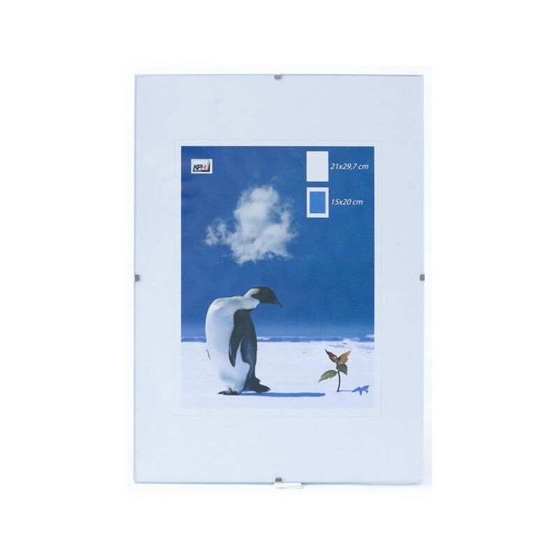 Codex EU clip rám 50x60 normal