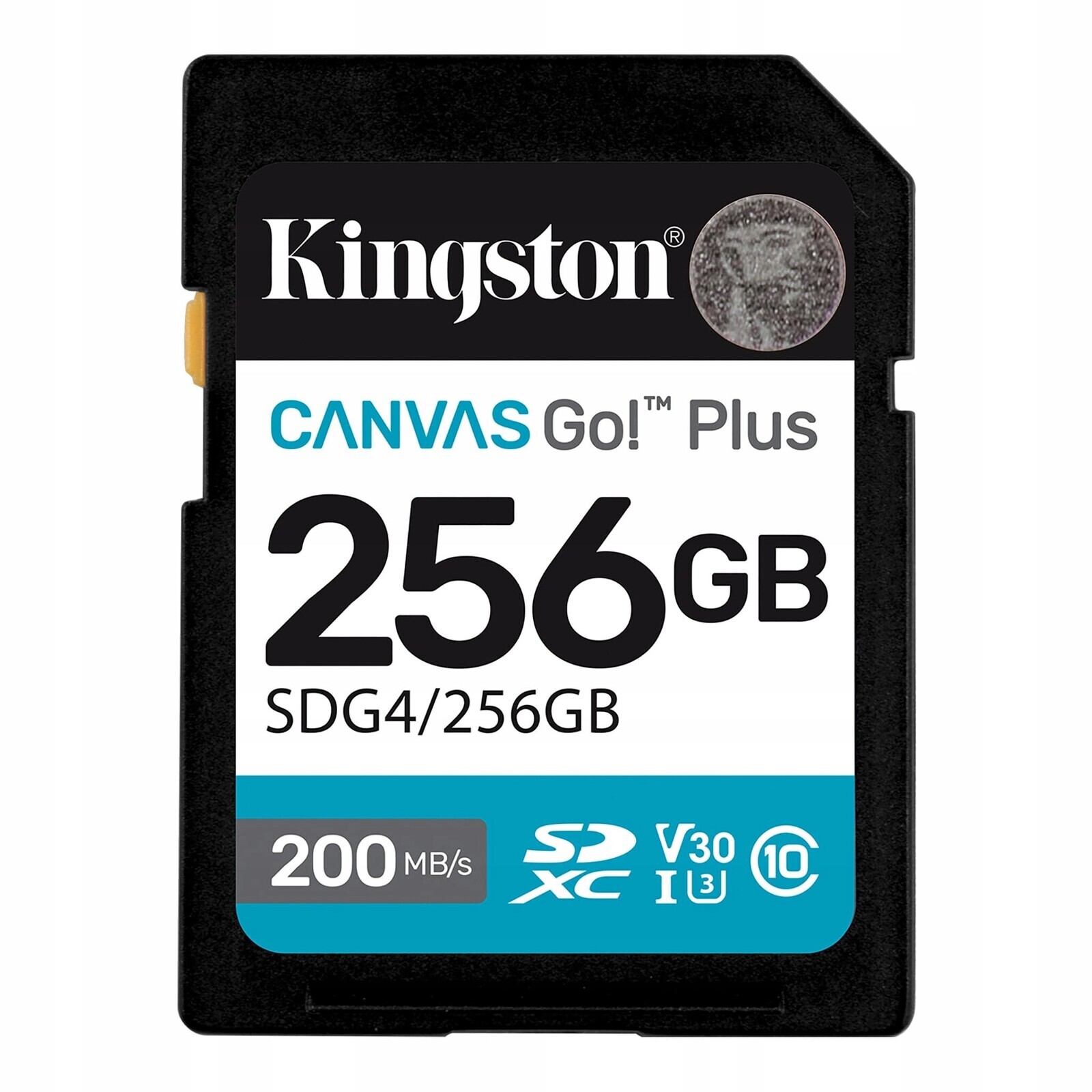 Kingston Canvas Go! Plus 256 Gb Sd Třída flash paměti Class 10, Uhs-i