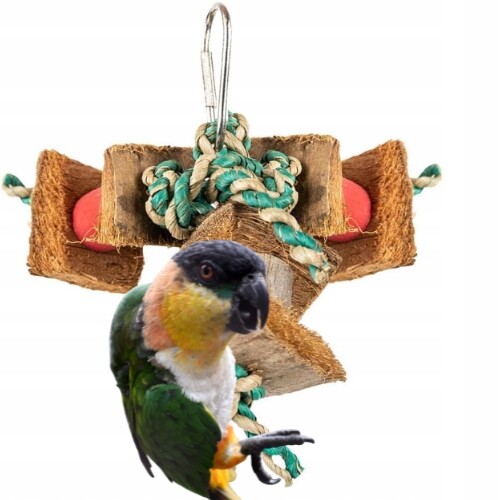 Kokosové šílenství hračka pro malé papoušky