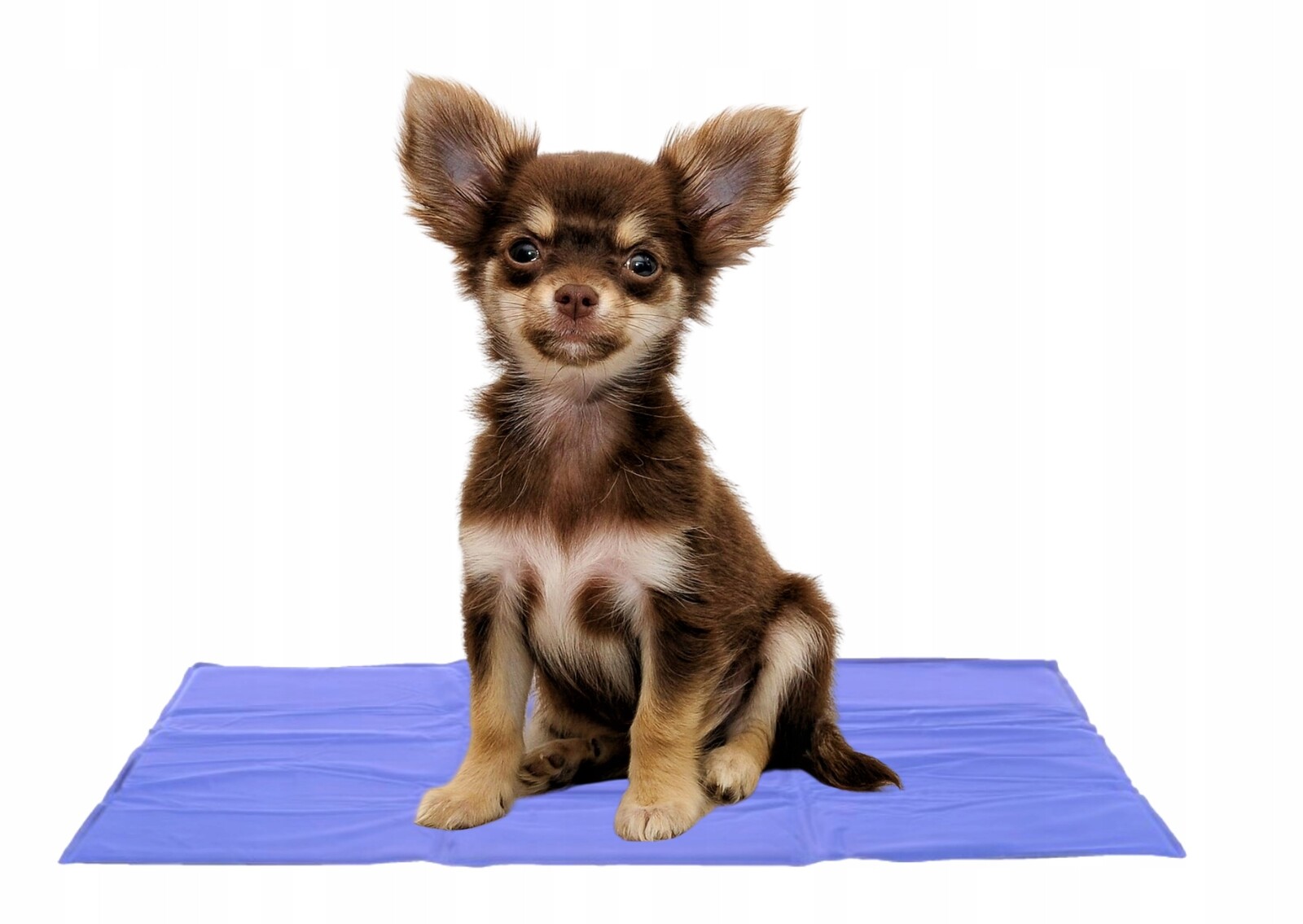 Chladící podložka M 65×50cm pro psa kočku zvířat