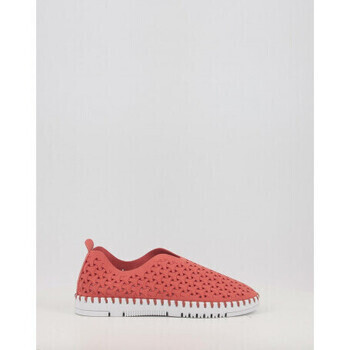 Eoligeros  TESSY  Červená