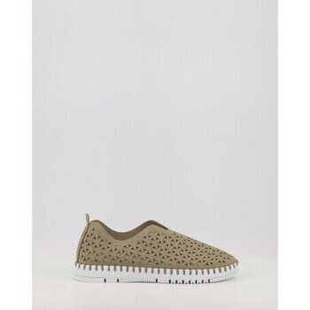 Eoligeros  TESSY  ruznobarevne