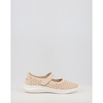 Eoligeros  ISA  Béžová